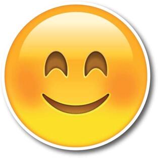 Buy Smiley Face Emoji Magnet Decal Perfect for Car or Truck Online at Low Prices in India - Amazon.in
