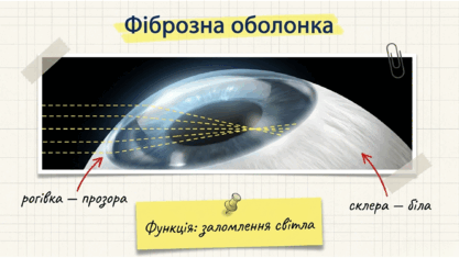 0901qcox-0774-417x235.png