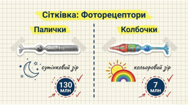 0901qcpn-0b8a-384x216.png