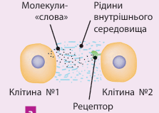 0901qcpy-0402-223x159.png
