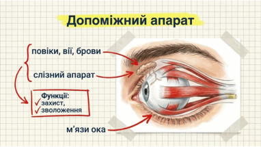 0901qcq3-5aa4-382x215.png