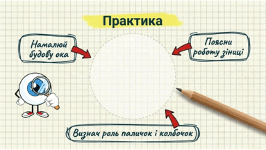 0901qcqp-bee2-383x216.png