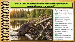 Які взаємозв'язки організмів у прісній водоймі, морі чи океані. 6 клас (НУШ). Пізнаємо природу. За підручником Біди Дарії.