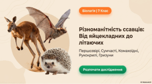 Різноманітність ссавців. Першозвірі. Сумчасті. Комахоїдні. Рукокрилі. Гризуни