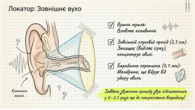 0901qi23-5c50-388x218.png
