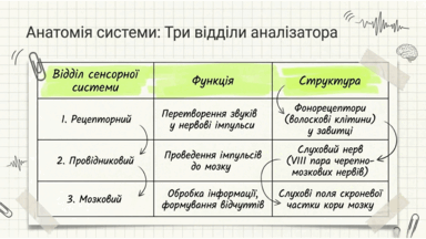 0901qi39-d278-384x216.png