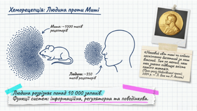 0901qjtd-f2da-391x220.png