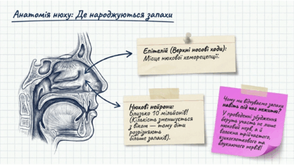 0901qjtp-6e48-413x232.png