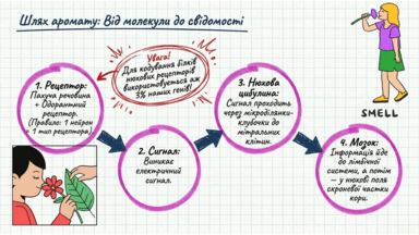 0901qjtv-f138-384x216.png