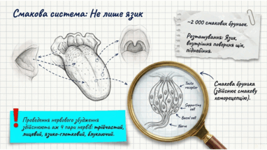 0901qjv8-b291-382x215.png