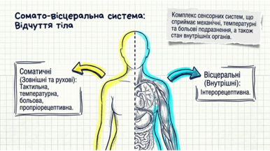 0901qjvp-8059-386x217.png