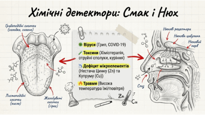 0901qkps-8e13-411x231.png