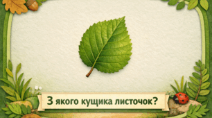 Проєкт "З якого кущика листочок?"