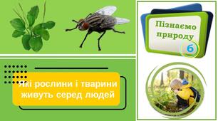 Презентація "Які рослини і тварини живуть серед людей". Пізнаємо природу. 6 клас НУШ