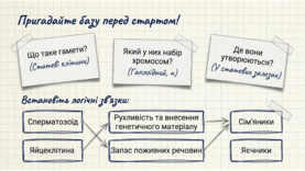 0901qpkj-301f-277x156.png