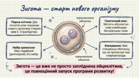 0901qplt-225c-277x156.png