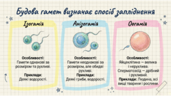 0901qpm4-bfe5-246x138.png