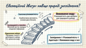 0901qpmd-1ff9-275x155.png