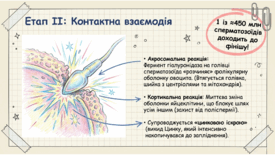 0901qpmx-b010-275x155.png