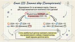 0901qpn1-fba8-265x149.png