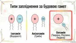 0901qppg-f33f-248x140.png