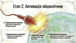 0901qpqd-192c-254x143.png