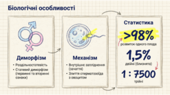 0901qpzh-cab8-247x139.png