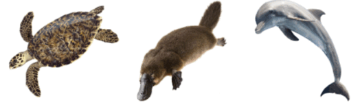 0901qq4b-9a8c-524x150.png