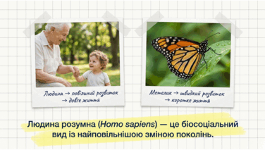 0901qqm1-f053-376x213.png
