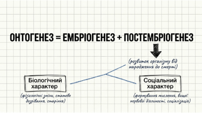 0901qqmd-a007-411x231.png