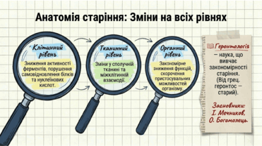 0901qqoc-a8bc-371x208.png