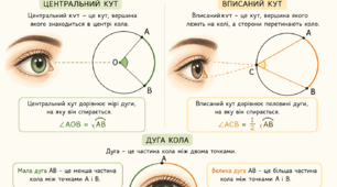 Коло. Вписані та центральні кути