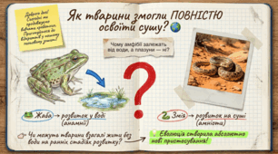 Амніоти. Рептилії