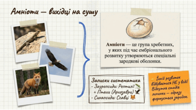 0901qs1j-815e-389x219.png