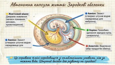 0901qs1q-0684-386x218.png