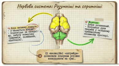 0901qs31-61e4-388x218.png