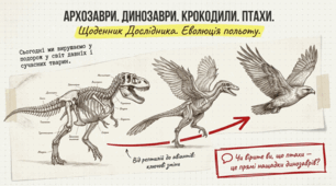 Архозаври. Динозаври. Крокодили. Птахи