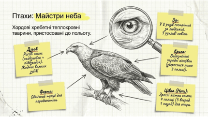 0901qs8b-c29b-430x242.png