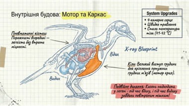 0901qs8k-e039-380x214.png