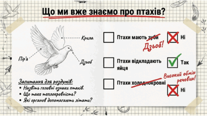 0901qse5-4eb0-408x230.png