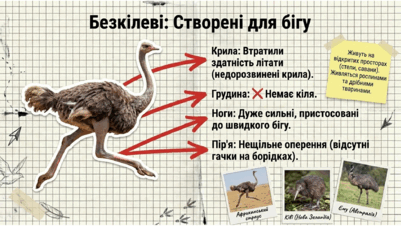 0901qsee-db2c-401x226.png