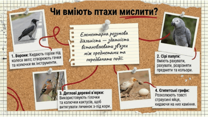 0901qsf7-79ea-411x231.png