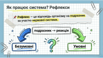 0901qt6x-4669-427x240.png