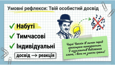 0901qt78-43dd-374x211.png