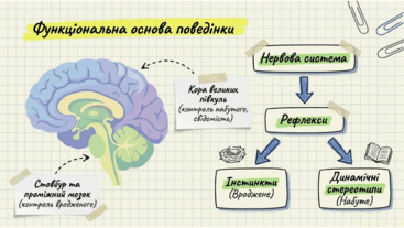 0901qt9u-8247-367x207.png