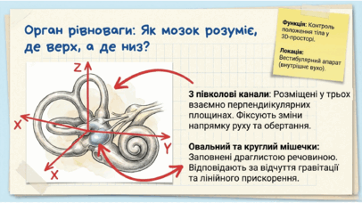 0901qtir-e088-406x228.png