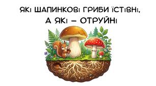 Презентація: "Які шапинкові гриби їстівні, а які — отруйні" біологія 7 клас НУШ