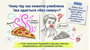 Сенсорні системи нюху, смаку. Рецептори внутрішніх органів