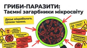 Презентація: "Гриби-паразити" біологія 7 клас НУШ