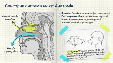 0901qtuf-aef5-373x210.png